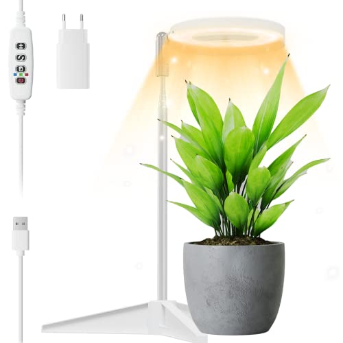 FLOWood Pflanzenlampe Led Vollspektrum,Grow Light mit 10 Helligkeit Einstellbar,Led Grow Lampe mit USB Ladegerät und 3/9/12 Auto-Timer, Höhenverstellbar, Geeignet für Sukkulente Gemüse Cover