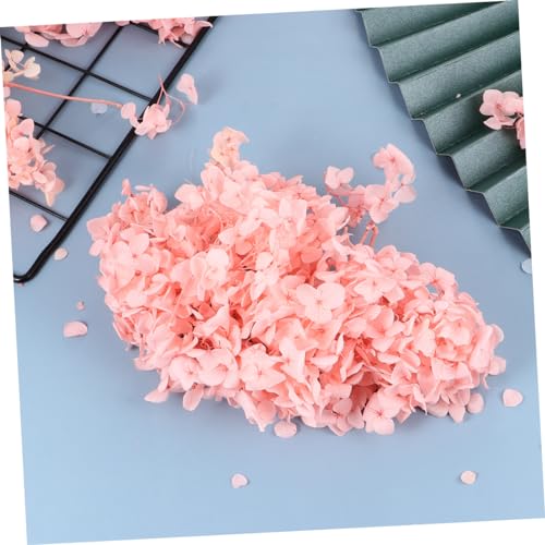 Cabilock 1Pack Pétalos de Hortensia Preservados para Manualidades miniatura 5