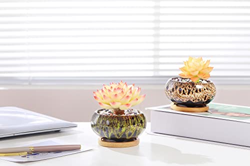 Lamdawn Cute Ceramic Succulent Pots, 3.7 Inches Planters With Drainage And Bamboo Tray, Set Of 5 -Plants Not Included (Vivid Colors) #TOP5