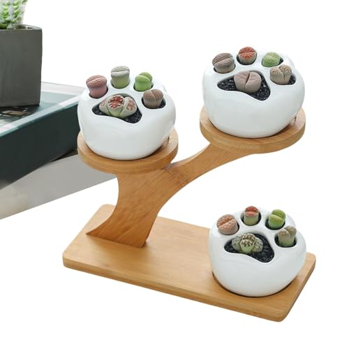 - Maceta, Maceta pequeña de Cactus con Soporte, pequeña Maceta de Flores de Cactus, para jardín, Cocina, decoración de Oficina en casa