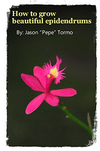 How to grow beautiful Epidendrums