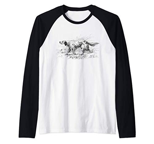 Regalo per cani Setter inglese
