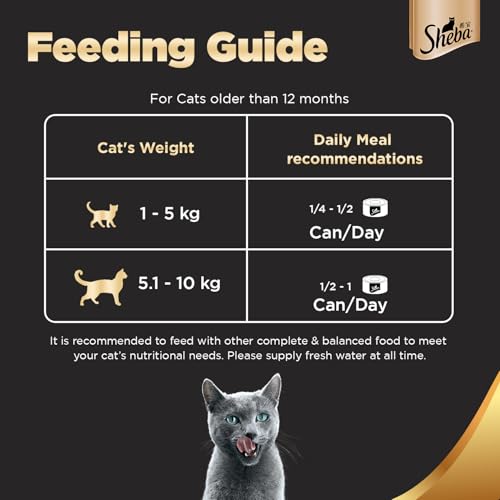 Sheba Deluxe, Premium Adult Wet Cat Food, Tuna & Prawn In Gravy, 4 Cans (4 X 85G), 1 Count