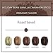 The Bean Organic Coffee Company Holiday Bean (Vanilla Cinnamon Spice), Medium Roast, Ground Coffee, 16-Ounce Bags (Pack of 2),Café molido tostado organico