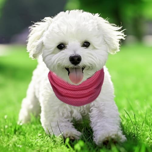 Kühlhalsband für Hunde, Hunde halstücher Kühlend, Hundehalsband Kühlend, Kühlendes Hundehalsband, Geeignet für Kühlhunde im Sommer, 55 x 16 cm