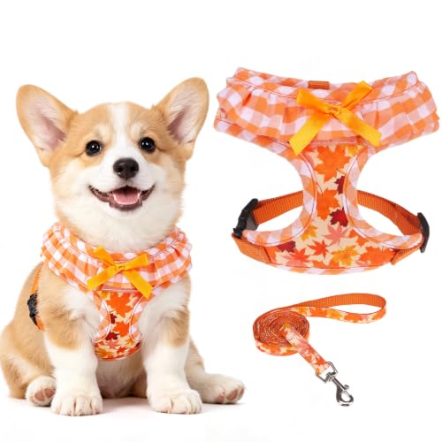 EXPAWLORER Fall Dog Harness and Leash Set Small Sized