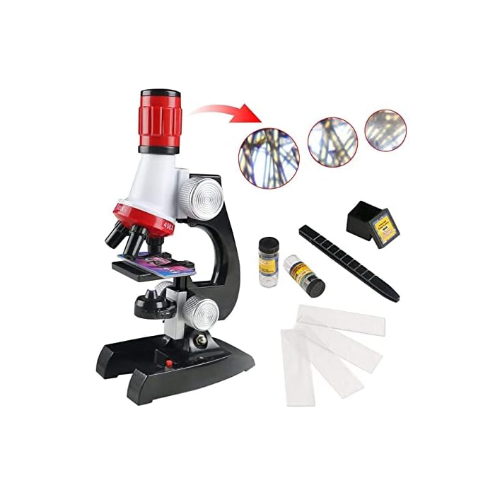 Buy DHARTI Science Kits with Slides Educational Beginner Microscope Kit