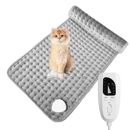 Lifetips ueBbVOwA British Longhair ybgpzbgJ[ybg Lp g x h 􂦂 ȃGl ~ ~p ybgq[^[ xbhp ` ybgpzbgJ[ybg ybgq[^[ x 