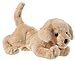 Hund und günstig Kaufen-Heunec 301573 - Hund Golden Retriever liegend, Hellbraun