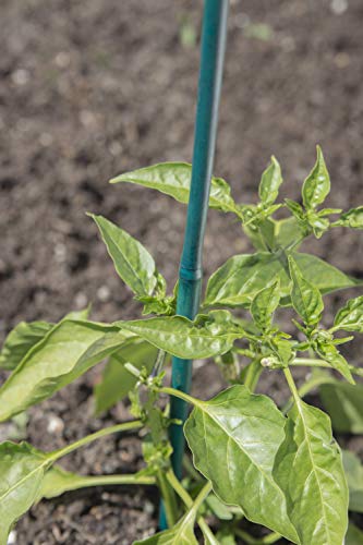 Bond 425 Bamboo Stake, 4-feet, 25-pack