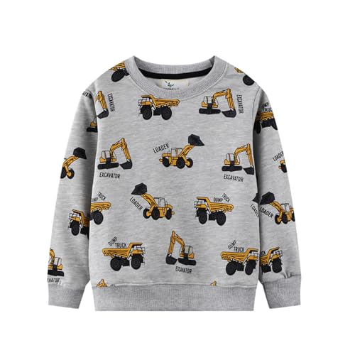 Boys Sweatshirts Casual Sweatshirts Cotton Sweatshirts Long Sleeve T-shirts Crew Neck Cartoon Tops for Boys-533