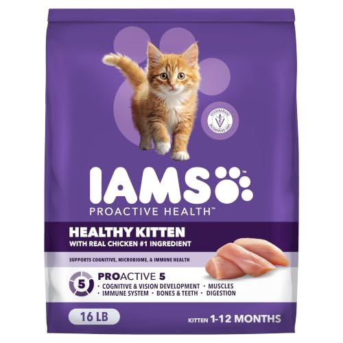 IAMS Proactive Health Healthy Kitten Dry Cat Food, Chicken, 16 lb