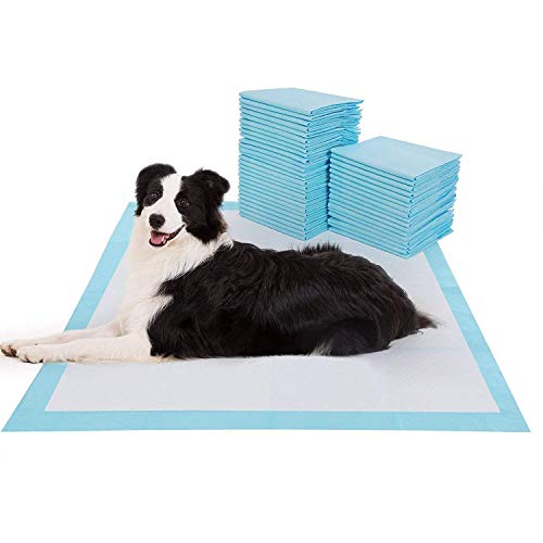 ABRUSu00ae - Puppy Pads, Super Absorbent Dog Pee Pad for Car Seat, Dog Bed, Food Bowls, Litter Box & Cage - Leak-Proof Floor Protection Mat for Incontinence Puppies Blue & Pink Colour (20 Pack Blue Pads)
