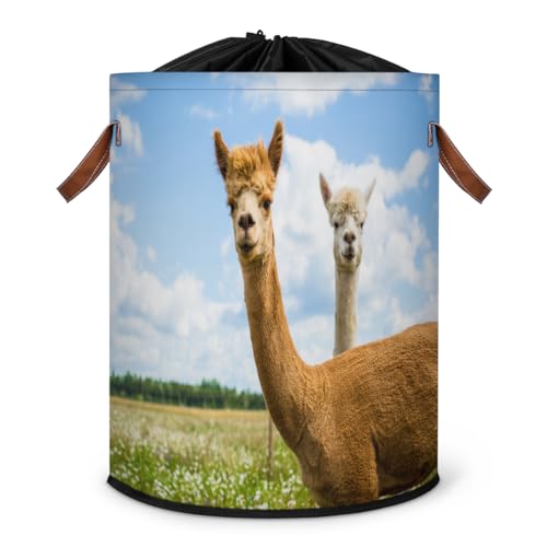 Summer Alpacas Großer Wäschekorb, Wäschekorb, Aufbewahrungskorb,...