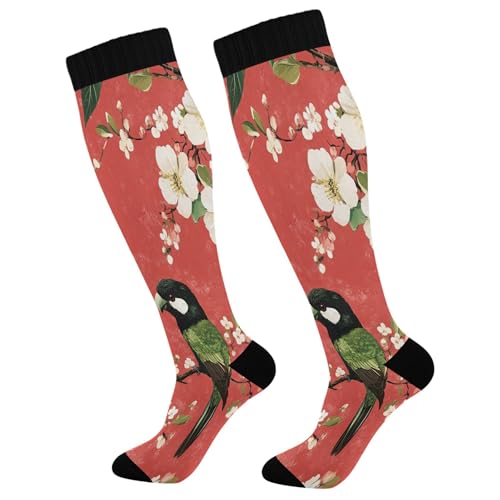 Burbuja Birds Perched on Branches Compression Socks for Women Men (20-30mmHg), Knee High Socks Circulation Support for Sport Running Hiking Nurse, 1 Pair