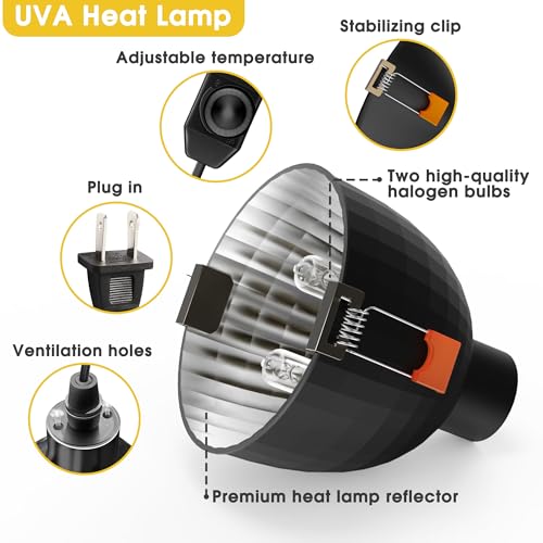 Briignite Reptile Heat Lamp Fixture, Max 100W - 4.3 inch Light Fixture with Dimmable Temperature Switches, G9 Heat Bulb & Dome UVB Light Perfect for Reptile Terrariums and Tortoise Habitats