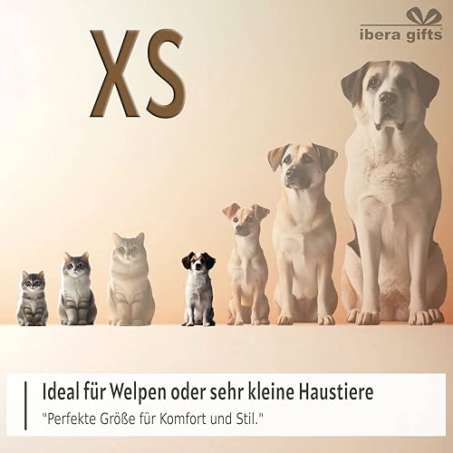 Ibera gifts - Hundehalsband Personalisiert, Hundehalsband Mit Namen Für Welpen Und Sehr Kleine Hunde oder Katzen, 22-30 cm, Reflektierend (Schwarz, XS Sehr Klein)