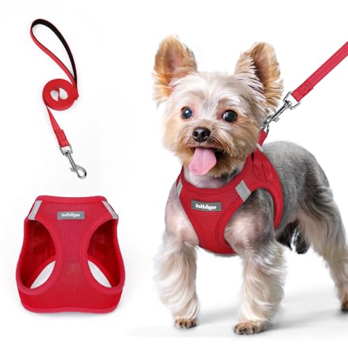 rabbitgoo Pettorina Cane Taglia Piccola con Guinzaglio Riflettente, Imbracatura per Cani Regolabile, Morbida Traspirante, Fcile da Indossare, Pettorina per Cani Piccoli Cuccioli Gatti, Rosso XS