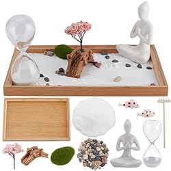 WEBEEDY Japanese Zen Garden for Desk