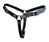 Locking Female Butt Plug Harness