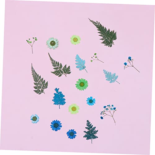 ADOCARN 2 Folhas/Total 20 Pçs Flores Secas Artesanais Acessórios De Tecnologia De Unhas Acessórios D