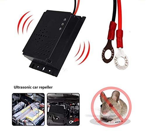 YQ&TL Répulsif Anti Animaux Chat Extérieur Véhicule Électronique Voiture Souris Ultrasonique Répulsif 12V Rongeur Souris Chasse Rat Rongeurs