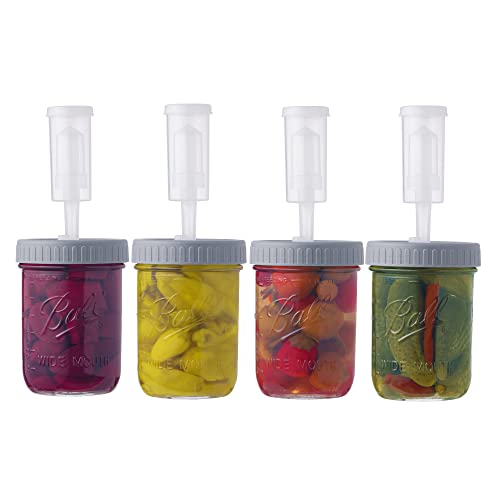 Top 10 Best Diy Mason Jar Airlock Reviews & Buying Guide Katynel