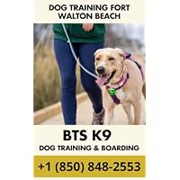 Dog Training Fort Walton Beach - How BTS K9 Training and Boarding Became Fort Walton Beach's Most Trusted Dog Trainers