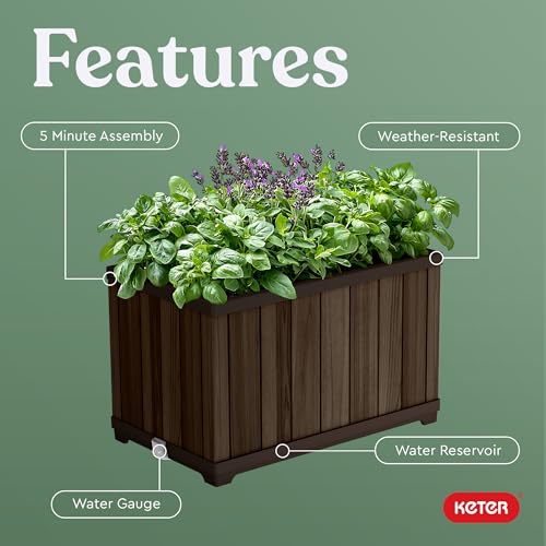 Image of Keter Signature 21.7 Inch Tall Rectangular Large Wood Look Planter for Indoor or Outdoor Flower Pot Ideal for Patio Deck and Front Porch Decor, Rosewood