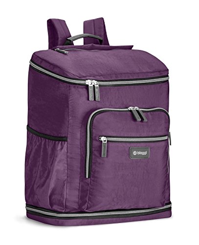biaggi zipsak backpack
