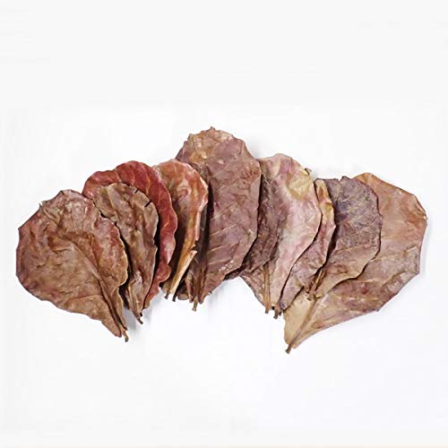 Amazon.co.jp: 【ネグロの誘惑】高濃度フルボ酸漬け マジックリーフ