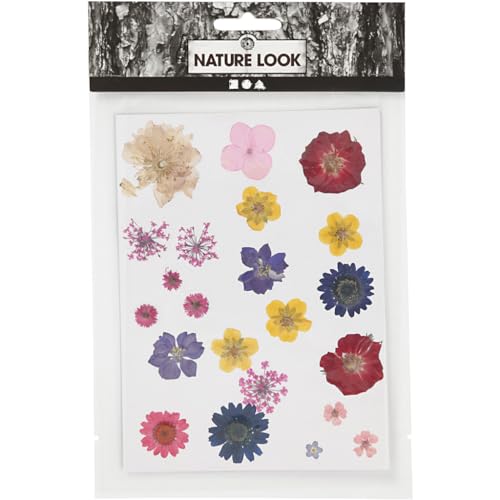 20 flores secas y prensadas multicolor Creotime miniatura 2