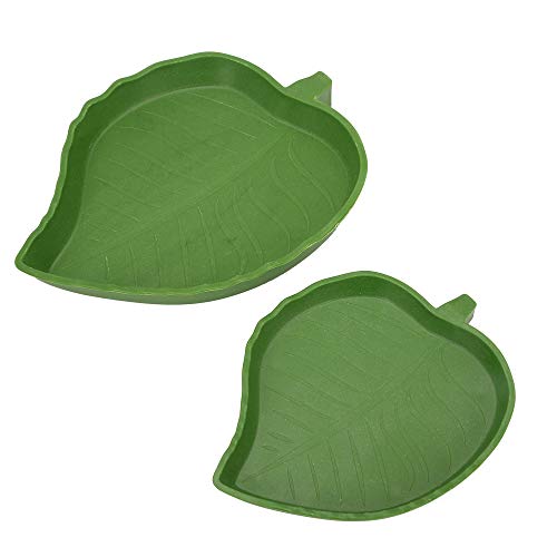 SENZEAL 1 Paquet Gamelles Abreuvoirs Reptile Tortue Chien Chat Forme de Feuille, Vert