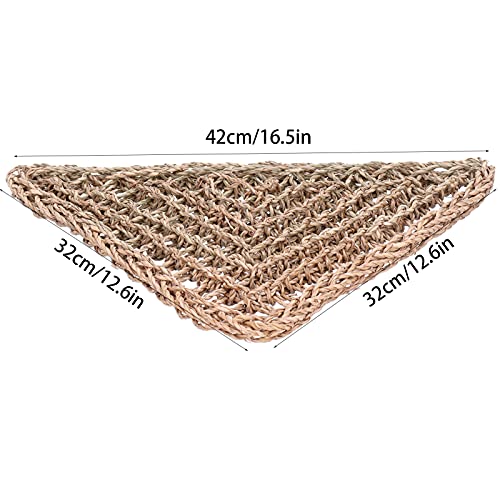 Hagedis hangend bed, milieubescherming Driehoekige hagedishangmat voor terrestrische reptielen voor binnen voor buiten… - Image 6