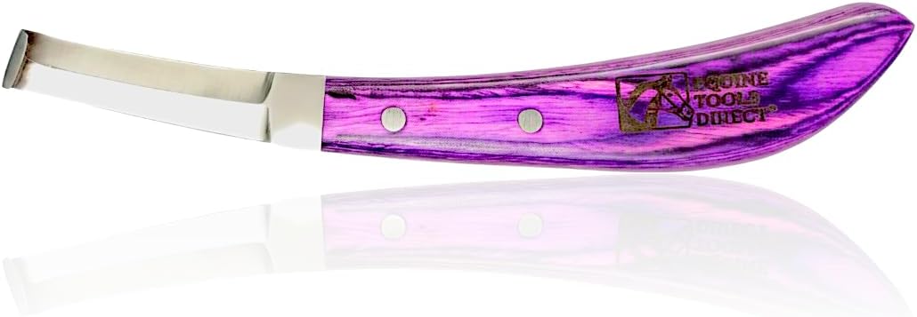 Double-Edge Blade Hoof Knife, J2 420 Magnetic Stainless Steel, Right-Hand, Ergonomic Purple Handle, Professional Farrier Trimming Tool