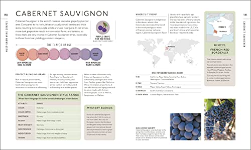 Wine A Tasting Course: From Grape to Glass