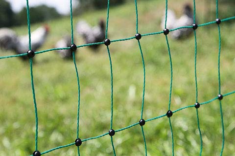 Kerbl Filet À Volailles Poultrynet Vert 25m X 106cm - Double Pointe Non Électrifiable - Pour Poules, Oies, Dindons