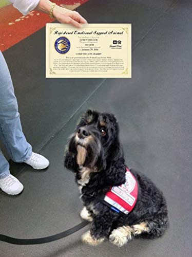 Workingservicedog.com - Emotional Support Animal Esa Certificate – Customized Certificate - Duplicate Copy - Registered Animal Documents Certificate Folder - Five Esa Information Cards #TOP6