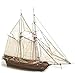LQKYWNA Halcon1840 Legno Assemblato A Vela Modello 1: 100 Fai da Te Occidentale Classica Nave Divulgazione Scientifica Modello Educativo Giocattolo Educativo per I 7-14 Anni