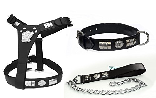 Pets2Care STAFFY STAFFORDSHIRE BULL TERRIER - Juego de arneses, collar y cadena para perro, color negro y marrón Cover