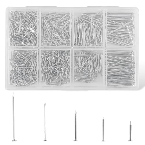 HonQiShiMY 900 Piezas Juego de clavos variados incluye acabado, Clavo de Cabeza Redonda, Clavos Cemento para Pared Reparación Madera Bricolaje Colgar Cuadros Marco Espejo Construcción Hogar