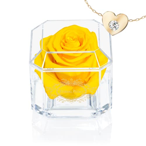 Eternal Petals A Real Rose That Lasts Years, Handmade in UK, Gold Solo with Gift Box