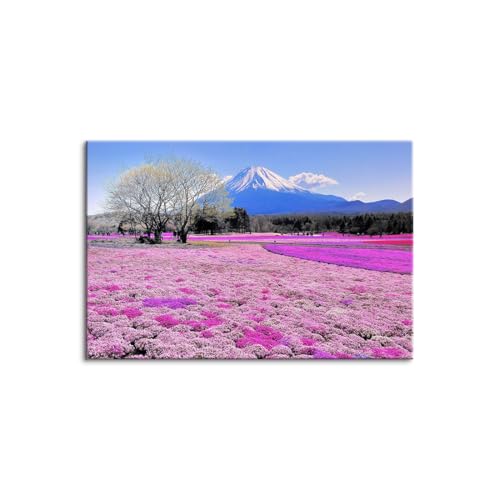 G CeAA[g A[gpl A  xmR̍̌iF |X^[ LoX Ԃ̊G t[ ʐ^ Ri  Õ̕i Ǌ|    Vz ؘgt̊i?