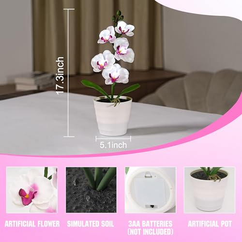 Image of Artificial White Phalaenopsis Orchid Flower Lamp, Flower Night Light for Bedroom Wedding Bar Coffee Shop Decor, Gifts for Women Mom Grandma Friend Birthday Christmas Valentines Mothers Day