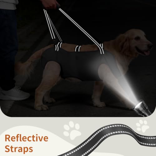 Mayerzon Full Body Dog Lift Harness, Support Senior & Disabled Dogs Walking by Mayerzon - Used condition - Image 8