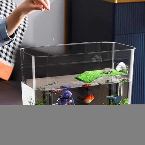 Terrarium pour crabes et grenouilles idéal pour décorer votre bureau - 8