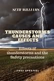 Thunderstorm's Causes and Effects: Effects of thunderstorms and the Safety precautions (2022 updated)