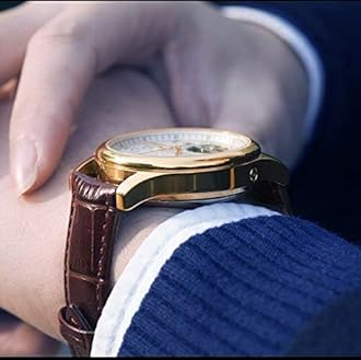 MASTOP Swiss Brands Men's Automatic Self-Wind Watch Stainless Steel with Brown Genuine Leather Band