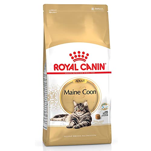 Royal Canin C-58640 Maine Coon - 4 kg
