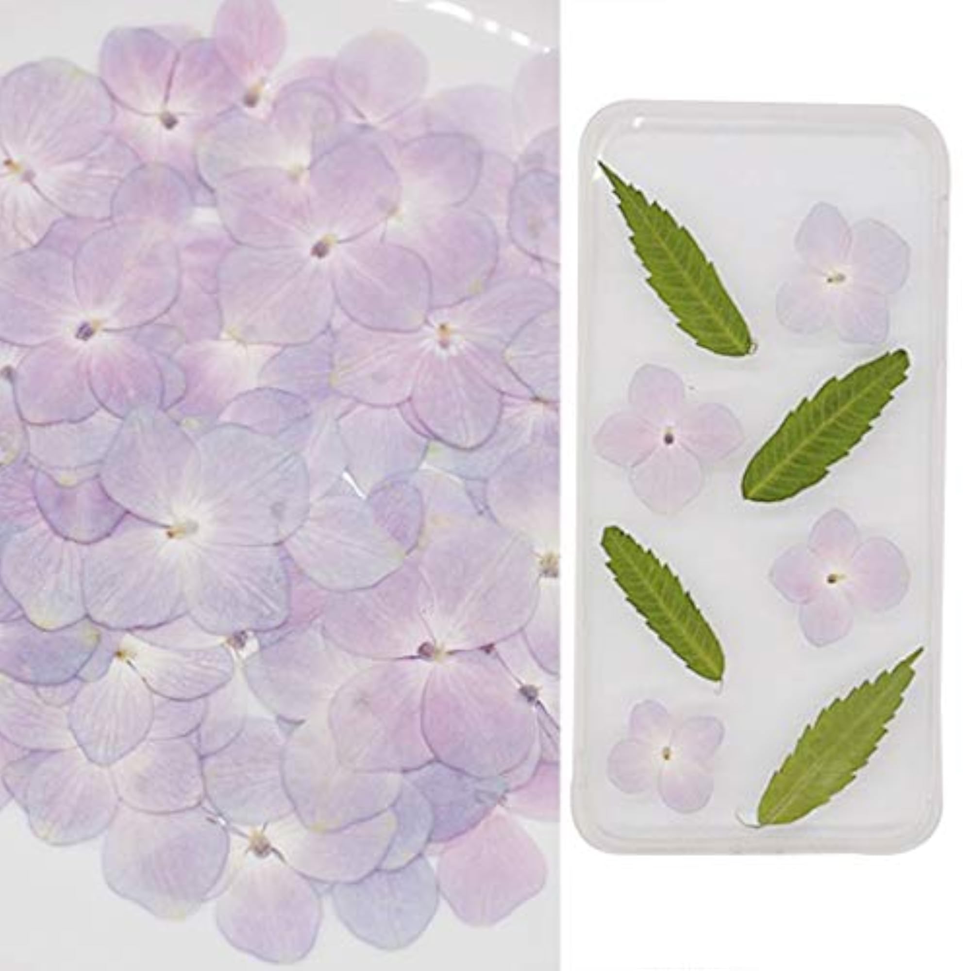 60PCS Natural Pressed Hydrangea Flowers for Crafts